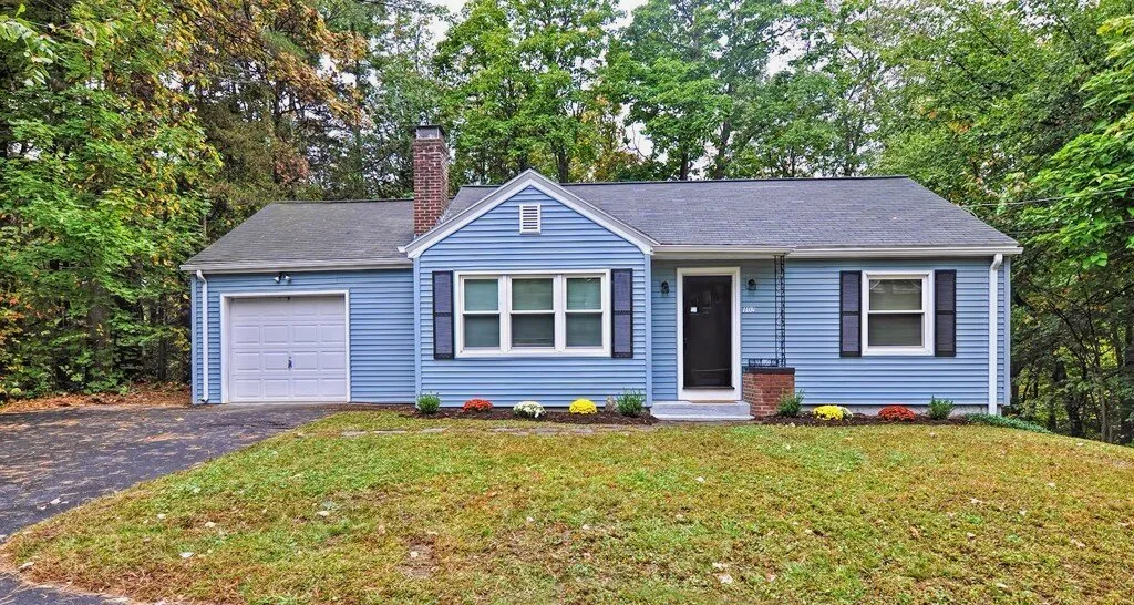 Blue House Photo